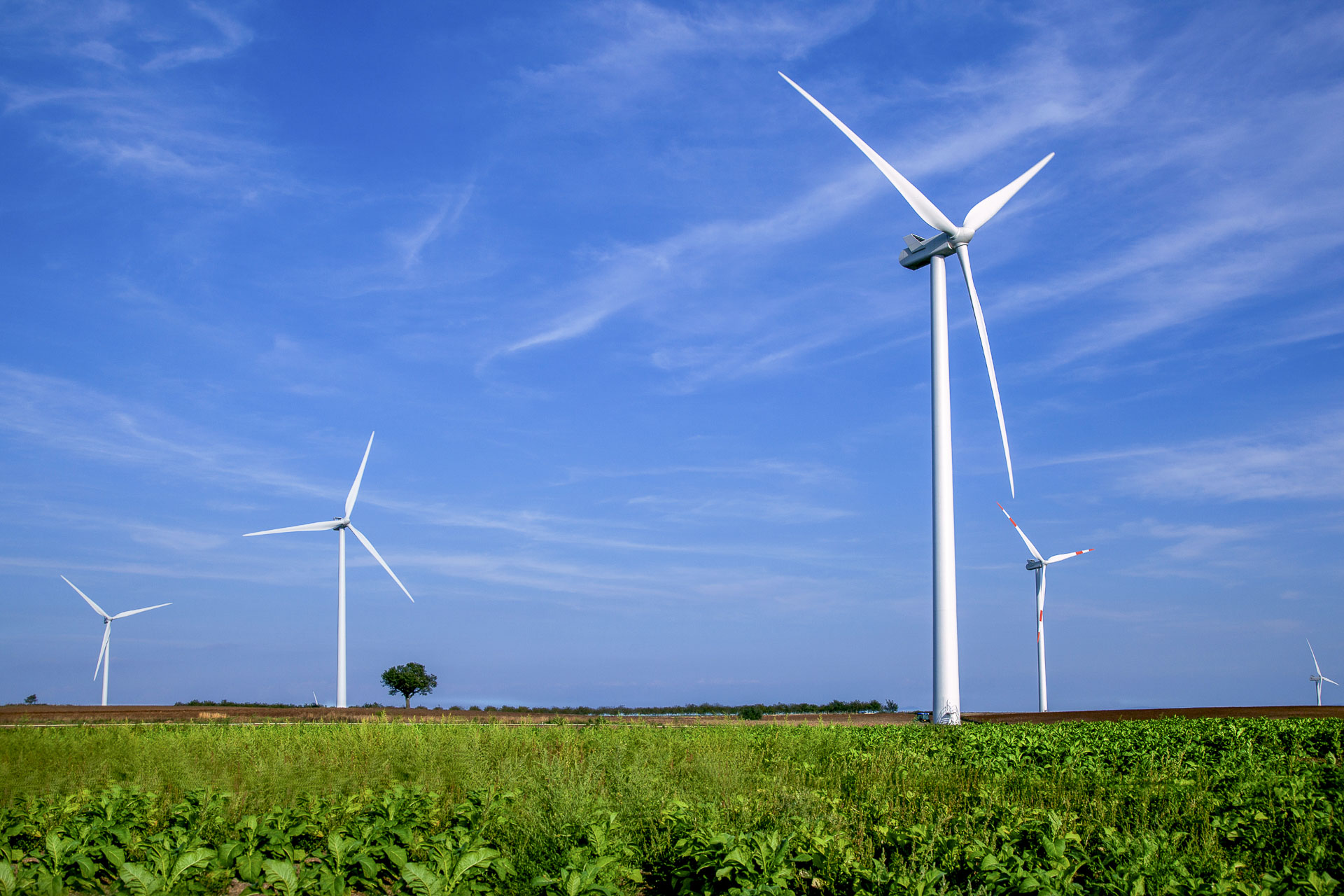 Parco eolico di Piansano produzione energia verde rinnovabile CVA