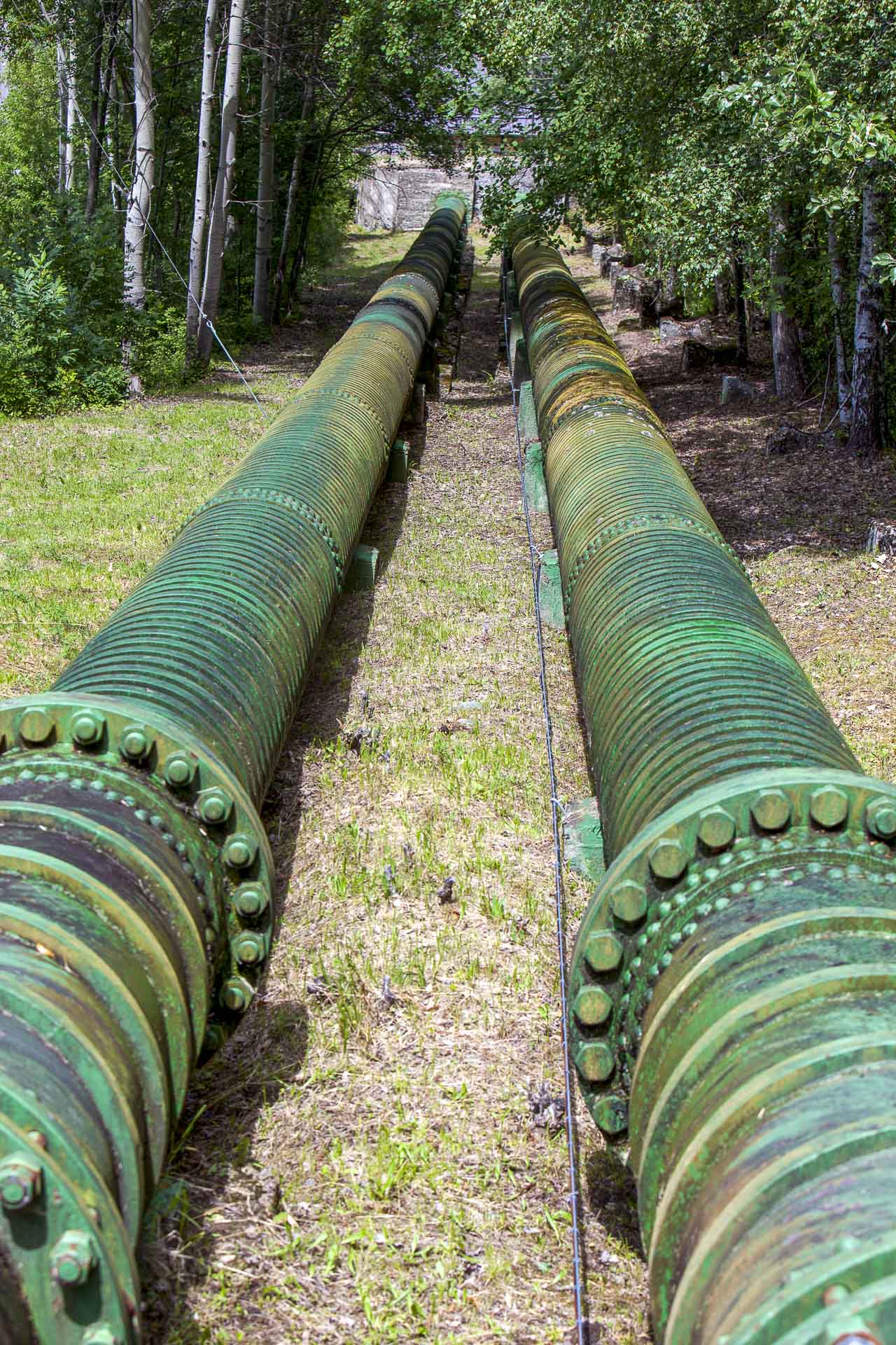 Centrale idroelettrica di Chavonne ad acqua fluente per energia sostenibile Gruppo CVA