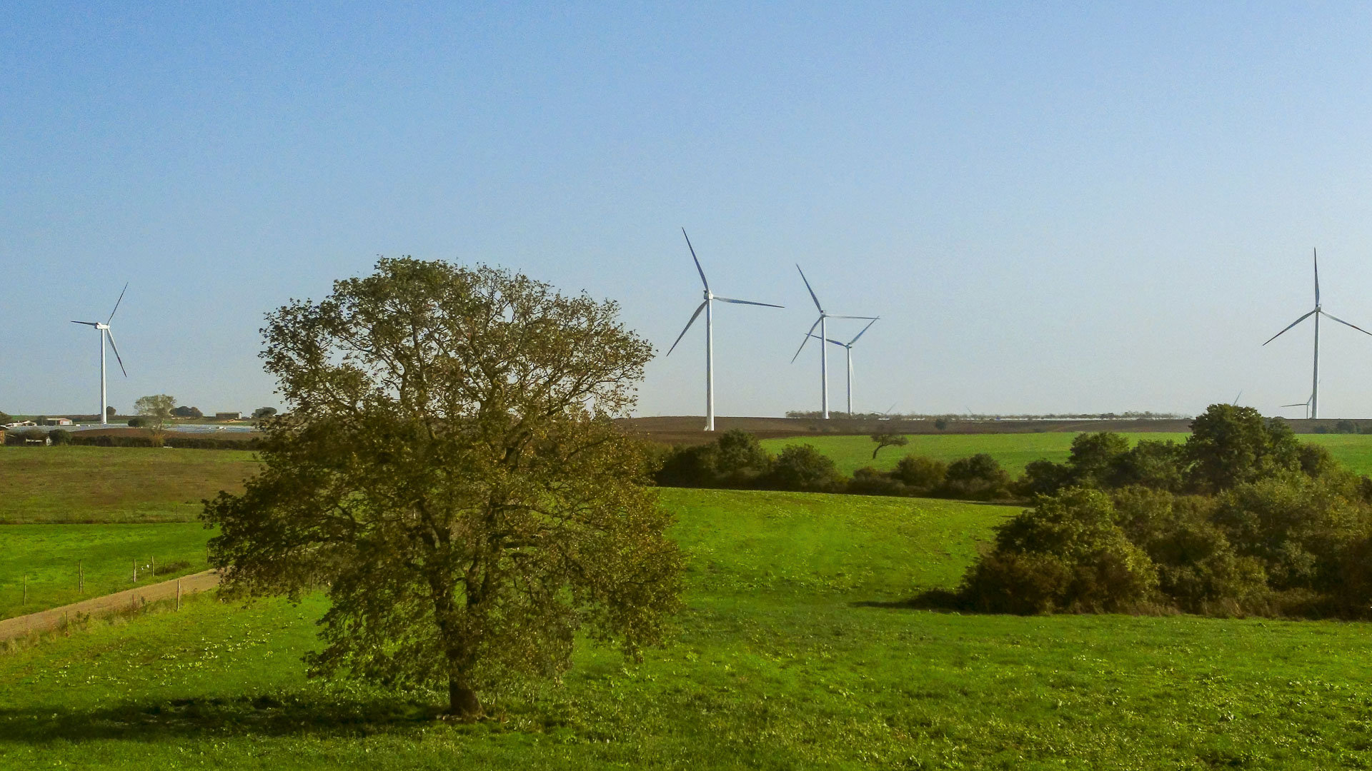 Parco produzione energia verde rinnovabile eolica Piansano